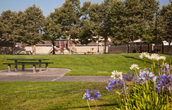 Garfield Park