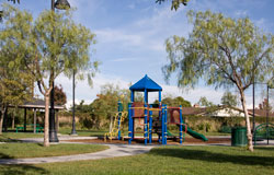 Meadows Park