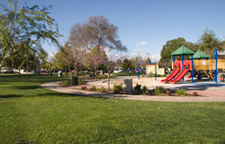 Progress Park