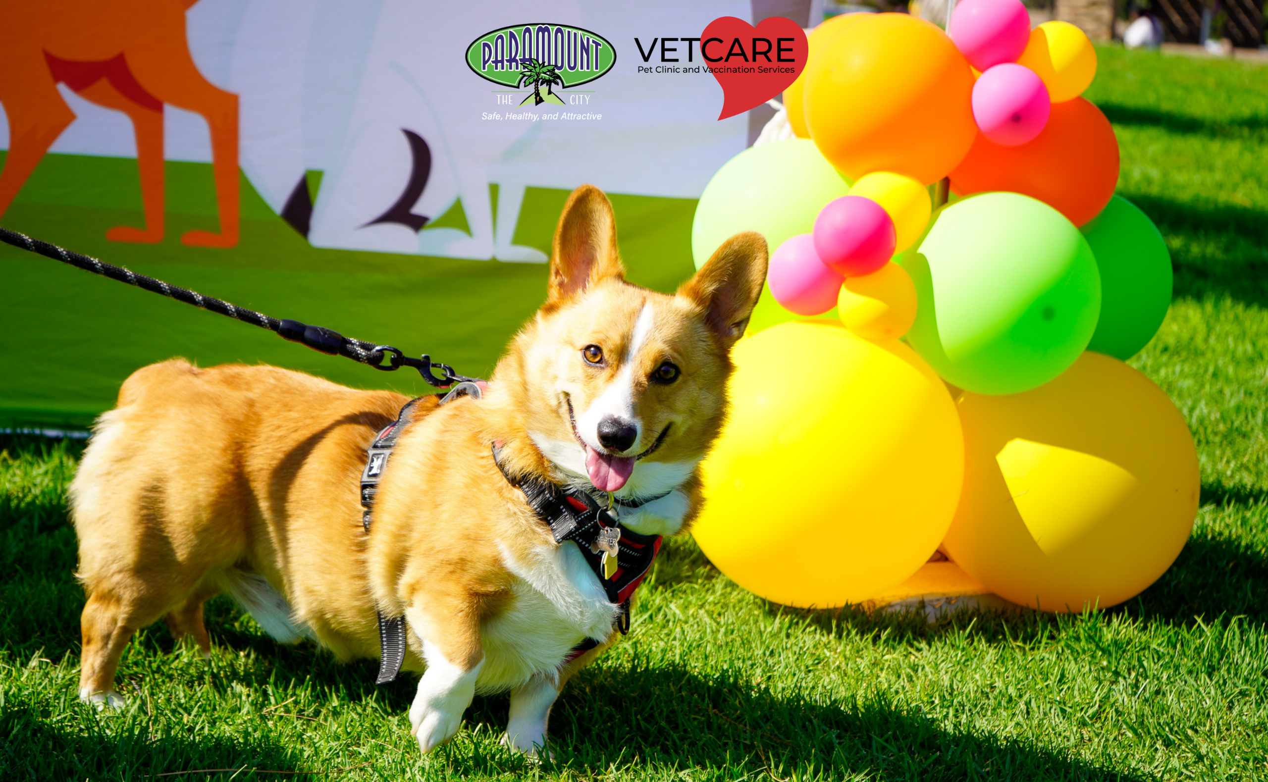 Keep Your Pet Prepared, Healthy, and Safe